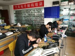 美国肥婆导航网站